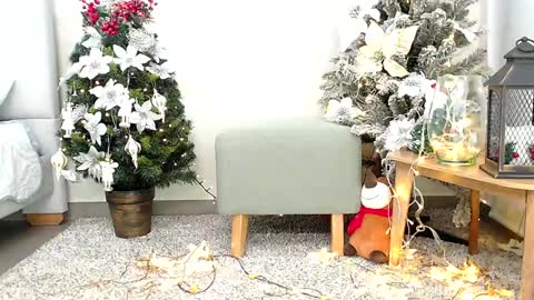 Snapshot of _sassy_girl chatting on 12/26/24, 06:33 Sassy Girl online show from 12/26/24, 06:33