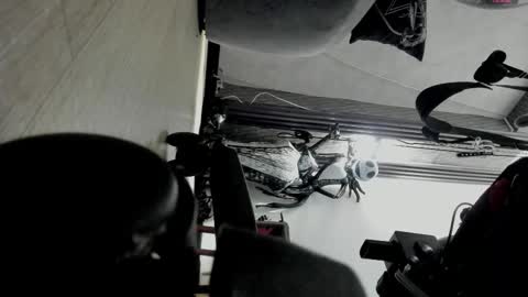 Selene online show from 11/02/25, 04:31