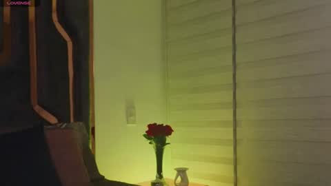 Snapshot of _silvia_vega_ chatting on 06/14/26, 04:36 _silvia_vega_ online show from 06/14/26, 04:36