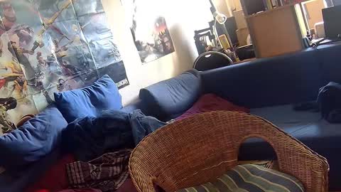 Sven online show from 10/03/25, 11:07