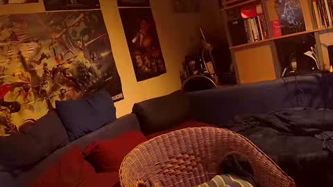 Sven online show from 11/20/25, 10:31