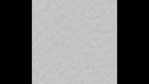 _tammarra_ online show from 10/31/25, 11:55