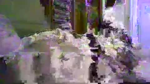 a203530 online show from 01/08/26, 10:23