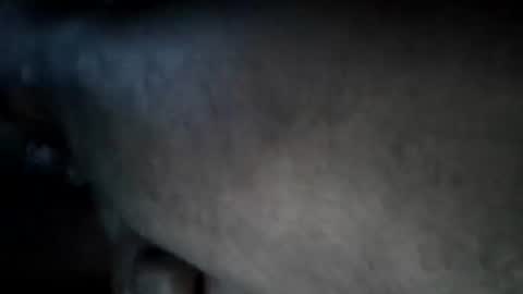 A2Please online show from 09/15/25, 02:06