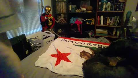 Snapshot of a_bored_dragon chatting on 03/11/25, 03:56 A Bored Dragon online show from 03/11/25, 03:56