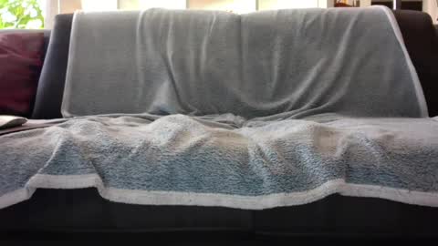 a_nice_dick_77 online show from 02/07/25, 10:08