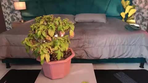 Snapshot of aaron_eze chatting on 01/31/26, 08:51 Aaron Ezequiel online show from 01/31/26, 08:51