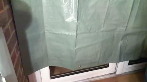 Aaron online show from 12/22/25, 07:44