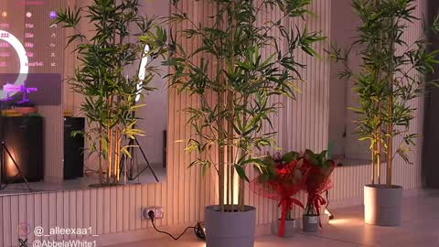 Alexa online show from 02/03/25, 09:52