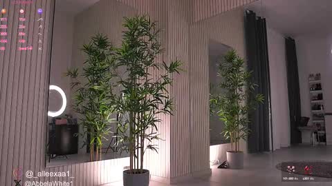 Alexa online show from 02/12/25, 06:29