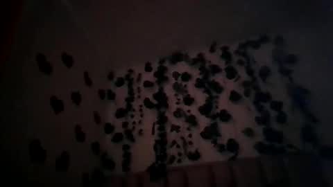 abby_moss_2 online show from 04/08/26, 12:49