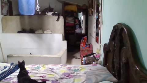 Snapshot of abbyasher chatting on 01/26/25, 11:50 Abby online show from 01/26/25, 11:50