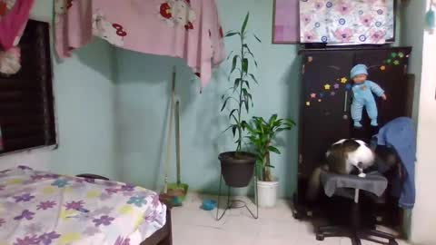 Snapshot of abbyasher chatting on 02/03/25, 12:36 Abby online show from 02/03/25, 12:36