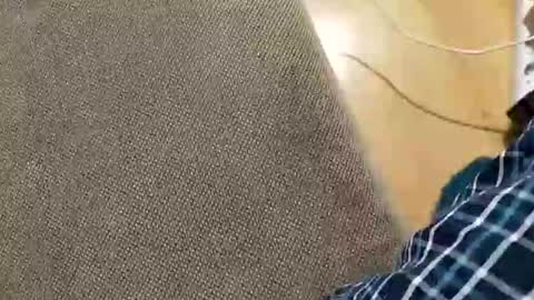 Snapshot of abepenix7 chatting on 03/23/26, 12:58 abepenix7 online show from 03/23/26, 12:58