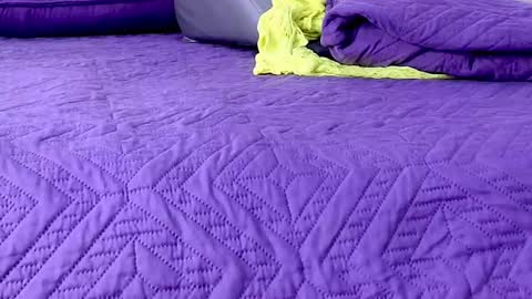 Abigail online show from 01/08/26, 02:58