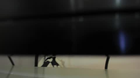 Abril 777 online show from 02/22/26, 07:56