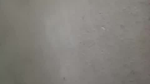 Snapshot of absltorres8 chatting on 07/14/26, 07:57 absltorres8 online show from 07/14/26, 07:57