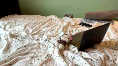 Absolute Horror Field online show from 04/13/26, 07:14