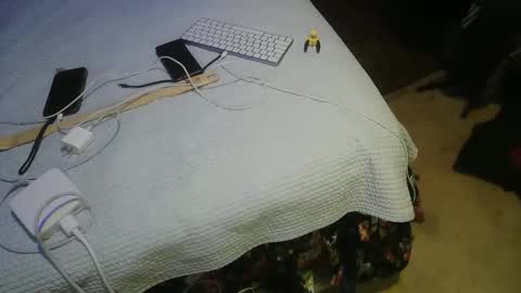 aCACiAs2022 online show from 03/16/26, 02:17