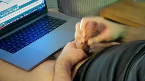 ACHTINCH online show from 01/15/26, 07:24