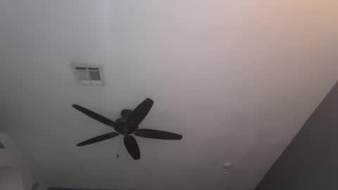 OF  online show from 01/23/25, 12:04