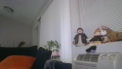 Snapshot of adamishere1 chatting on 03/01/26, 01:07 Britishadam online show from 03/01/26, 01:07