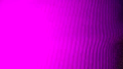 adamllamas online show from 09/15/25, 04:56