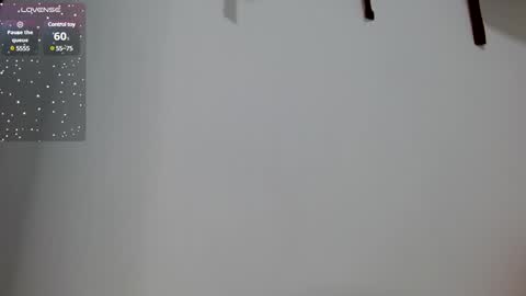 ADAMS Y NIKI online show from 01/22/25, 06:52