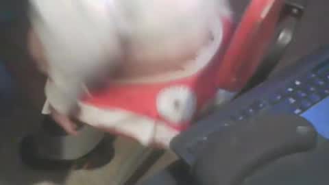 adamsny online show from 01/20/25, 07:04