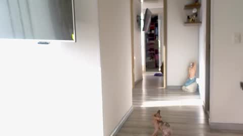 eva online show from 09/10/25, 12:16