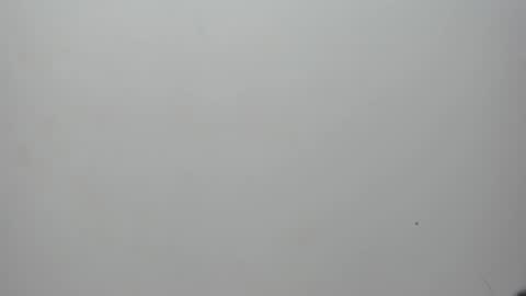 adbel sady online show from 02/10/25, 11:15