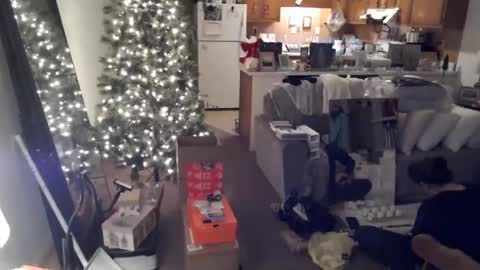 Snapshot of adorable22 chatting on 12/20/24, 10:22 adorable22 online show from 12/20/24, 10:22