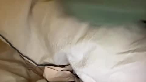 adriiiii online show from 01/24/25, 08:11