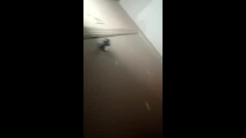 Snapshot of afnuke000 chatting on 03/04/26, 09:15 afnuke000 online show from 03/04/26, 09:15