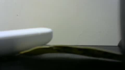 africanlovei online show from 01/02/25, 06:01