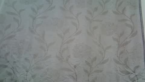 pink  and josphen online show from 01/23/25, 05:13