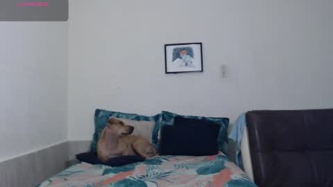 Agatha online show from 03/18/26, 03:20