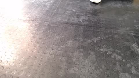  Miss Agata  online show from 12/16/25, 06:57