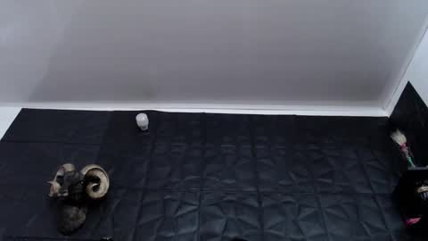  Miss Agata  online show from 01/07/26, 07:38