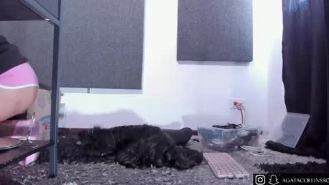 Agata Collinss online show from 04/14/26, 05:08