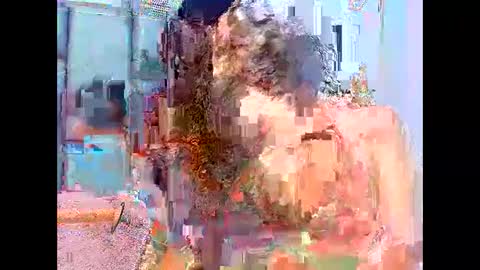 agatha online show from 01/11/26, 03:00