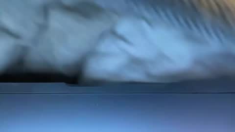 Agent Action Jackson online show from 01/08/25, 04:34