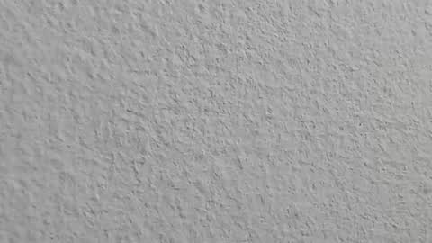 agnes_jones online show from 11/04/25, 07:57