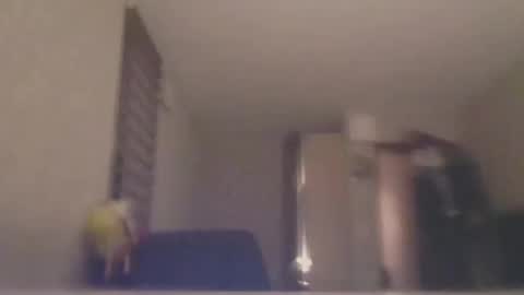 Snapshot of ahbehbi12 chatting on 03/10/25, 07:40 ahbehbi12 online show from 03/10/25, 07:40