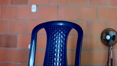 aisha koswell3 online show from 01/12/26, 02:11