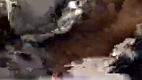 aj297914 online show from 12/20/25, 07:59