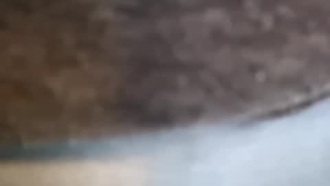 aj297914 online show from 02/17/26, 03:14