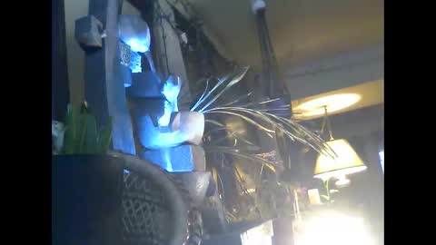 ajstevens326 online show from 11/03/25, 11:11