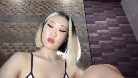 Snapshot of akemi_jp chatting on 02/04/26, 12:27 Akemi online show from 02/04/26, 12:27