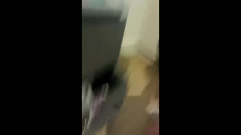 akkavo88 online show from 04/19/26, 12:22